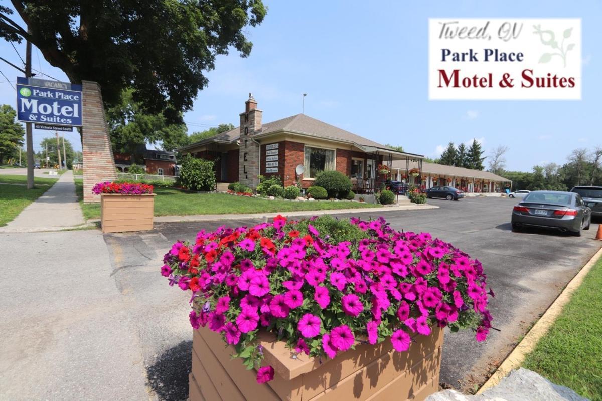 Park Place Motel & Suites Tweed Exterior foto